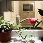 شقة هيستوريك ماريه مونتورغويه